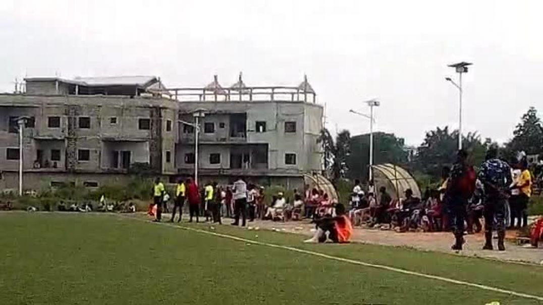 Entraîneurs et célébration de but.