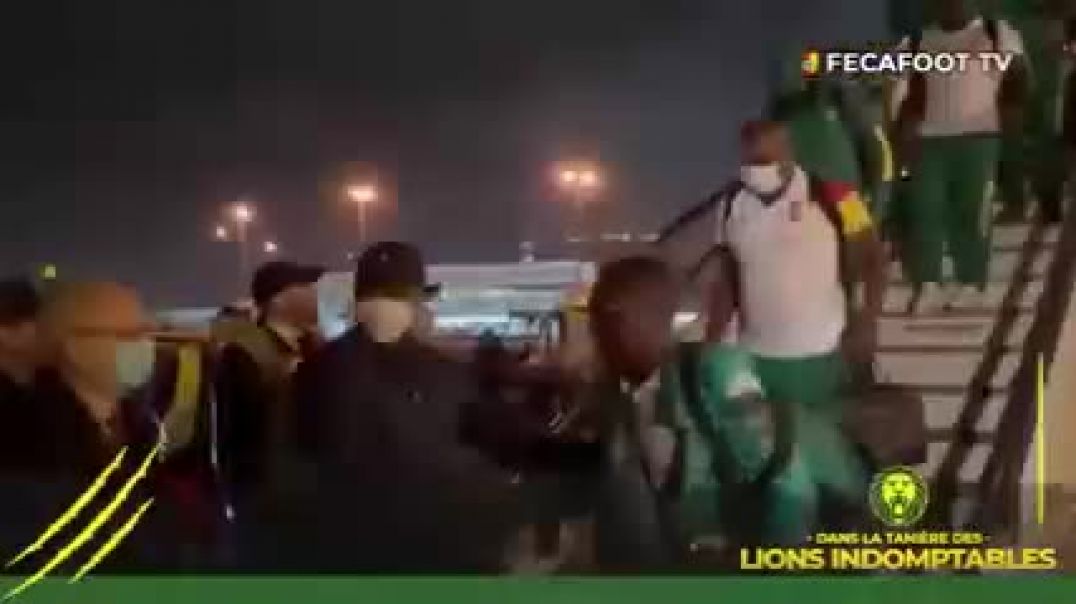 ⁣Arrivée des lions à Alger